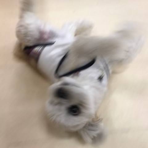 34a5efd9 9e6a 4693 8899 4d5ebcb9b19b