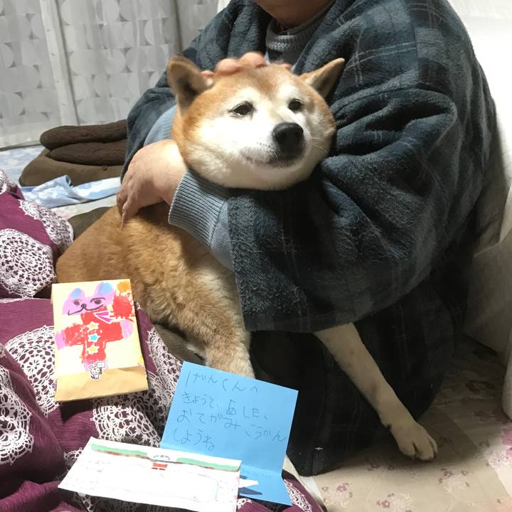 34a606b8 bab4 4eb4 a2e3 94c06609fa6b