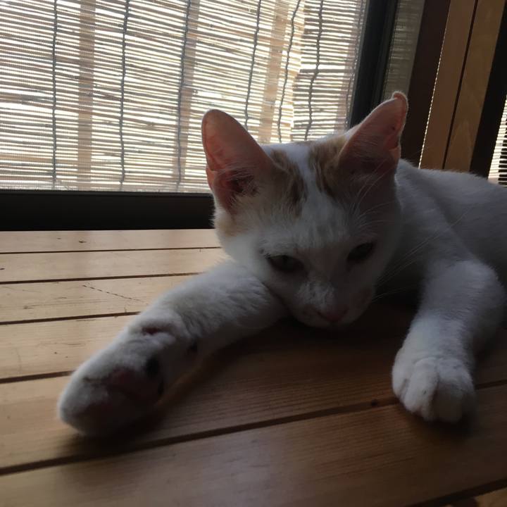 34a6d545 5808 4284 babf 51d1466f0d5f