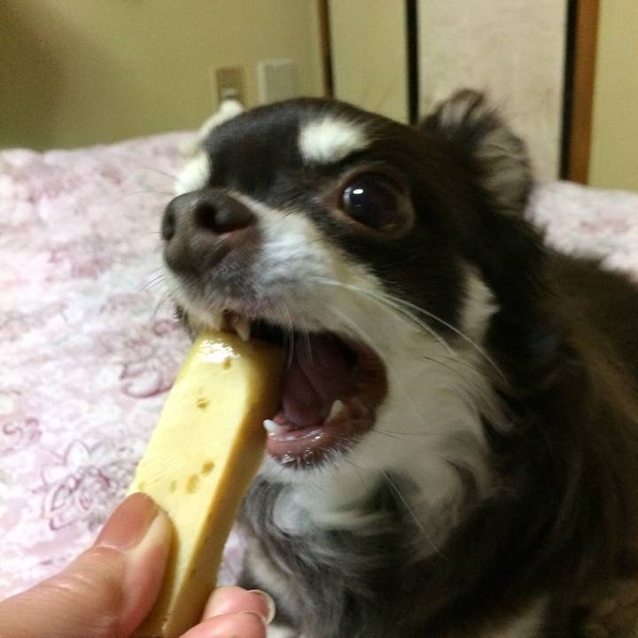 34a7313f 898c 4ed5 9c68 d42a6420ffe9