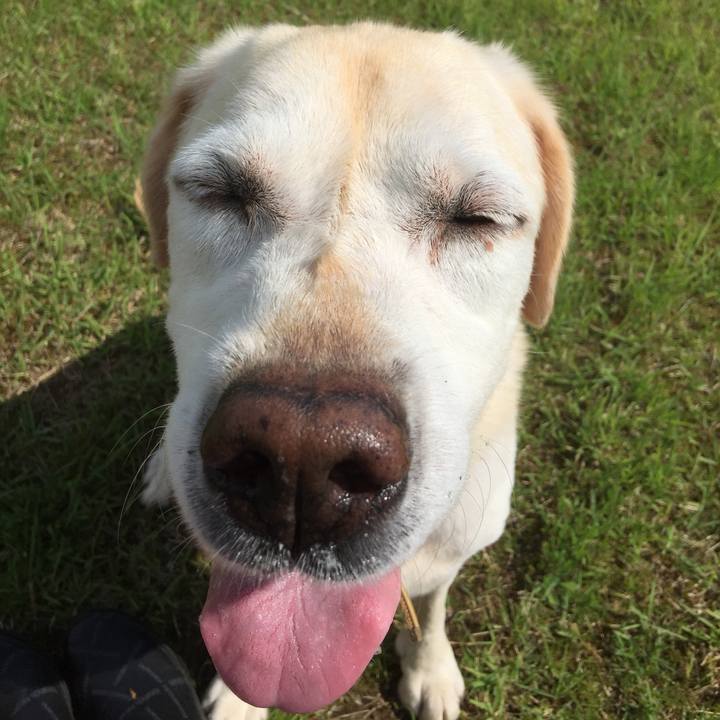 34a78454 6548 42db 9bdf 230bf7f1c2c0