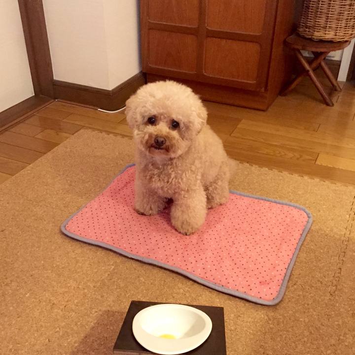 34a79270 af22 42d0 8dbb c516d3392909