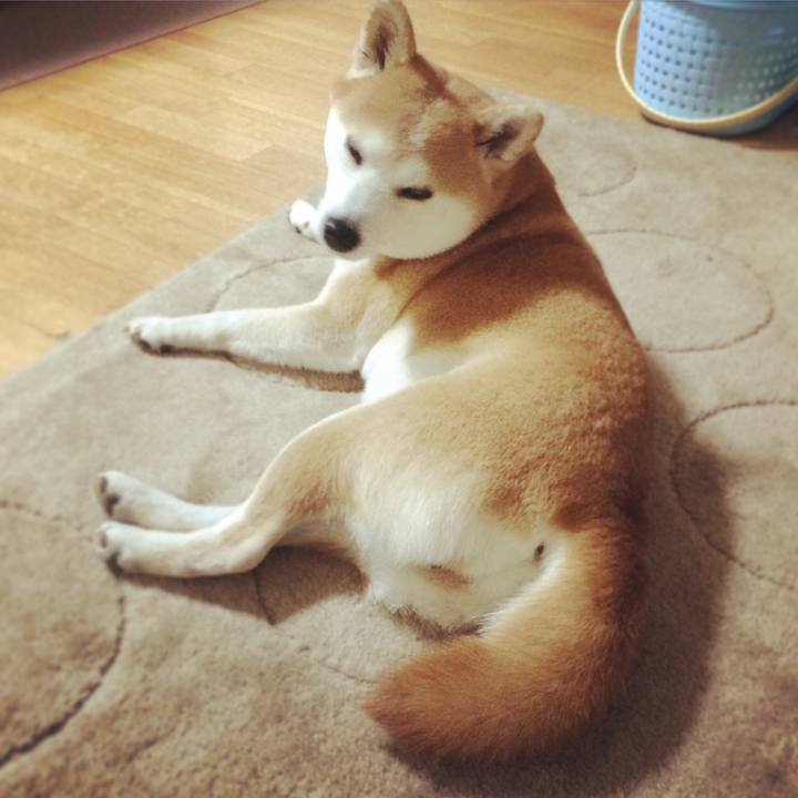 34a8080b 1e6f 4215 adf2 e1e59ee3b15f