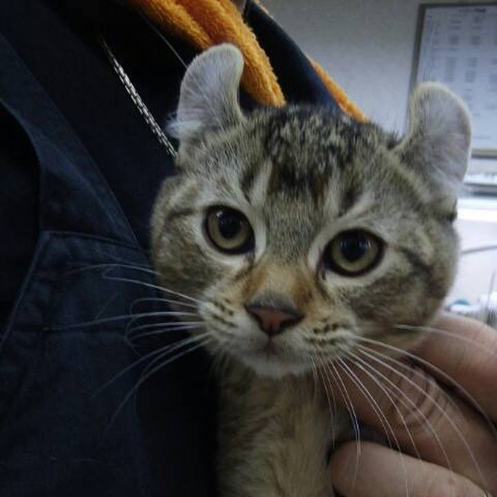 34a81edd dc27 47a5 b6c7 aff523fec30e