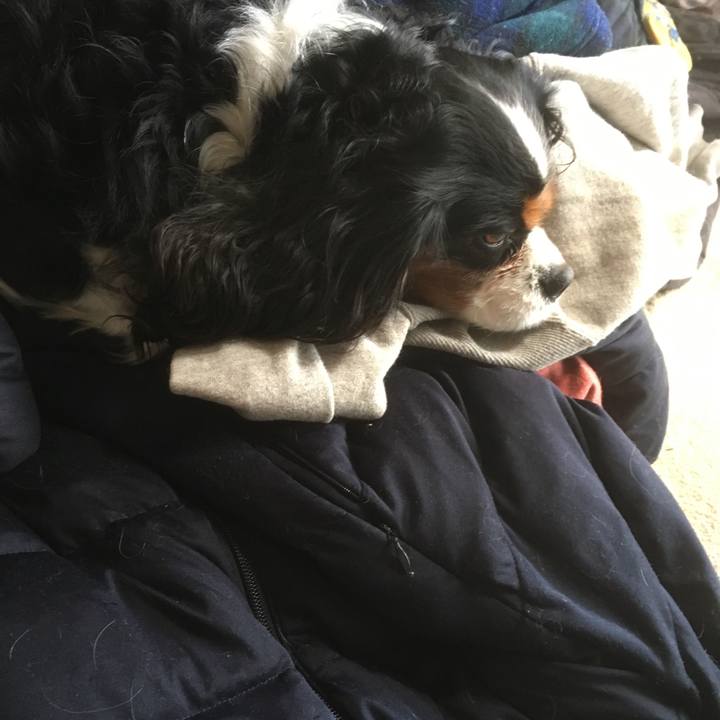 34a82398 538a 4478 b87e 3d83205a23b6