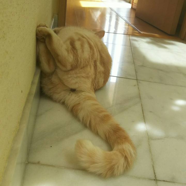 34a84435 aac3 4d4f b993 3d0ba1f8fb43