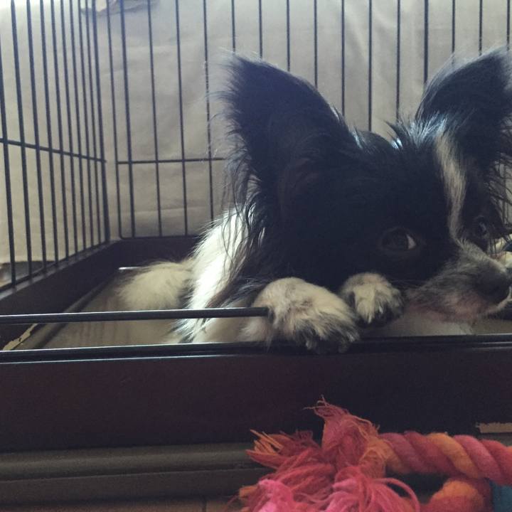 34a9469b d370 4c5a 9c42 542cd7cc2a97