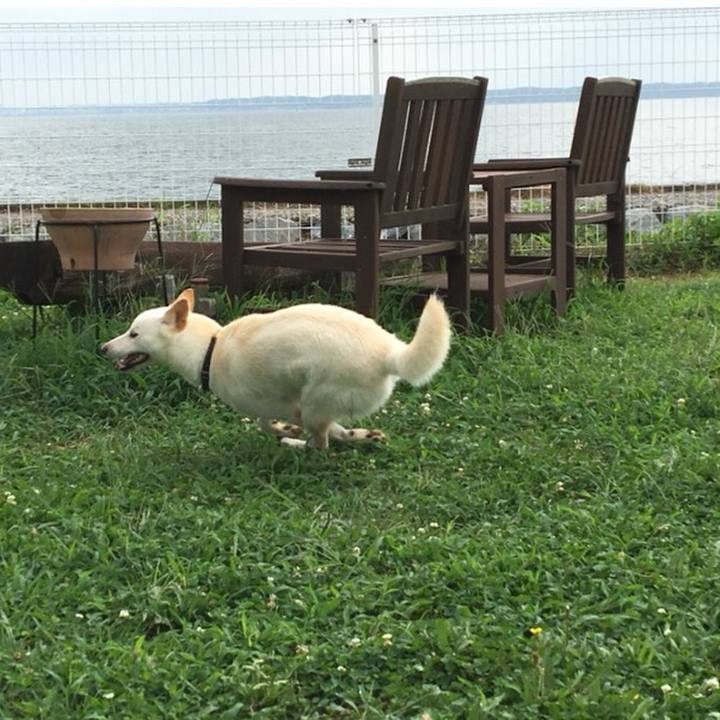 34a95a68 c78f 4f73 a85d da3d5460f73f