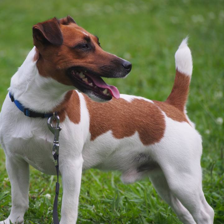 34a96f9a f4e0 406a a0dc d287792e37f1