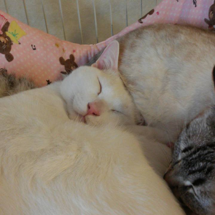 34a98bcb 0767 4824 9035 40d83e951a22