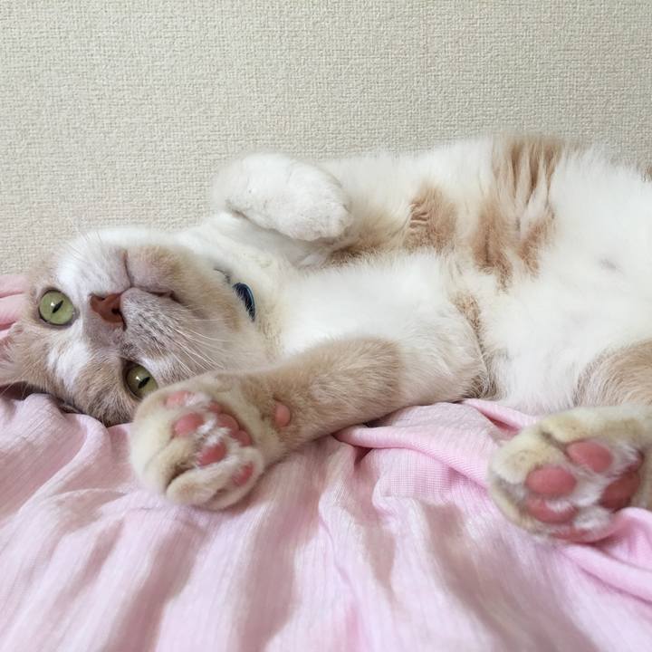 34aa23d0 91cc 47ad bfd4 39e1e95cabee