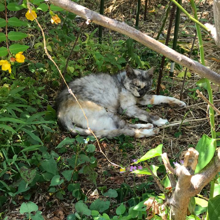 34aa3225 4ab7 441a 82c1 49dc107c45f4