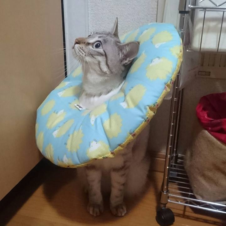 34aa67f9 02dc 4307 84d1 af2758efd728