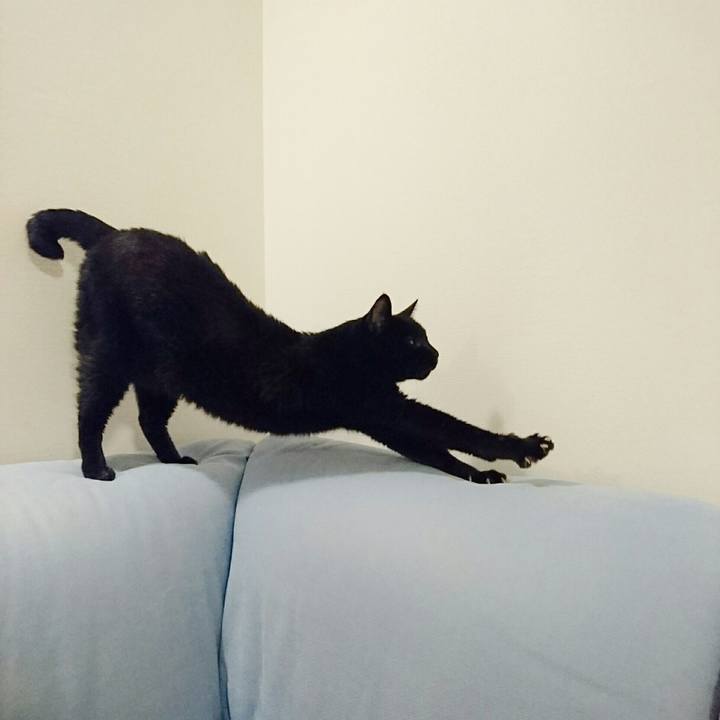 34ab28a9 84e0 4417 8a62 4e5c83ac9d02