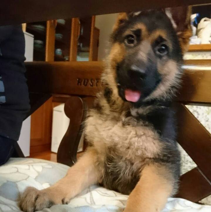 34ab7804 01fa 411a b61e 5800887f9874