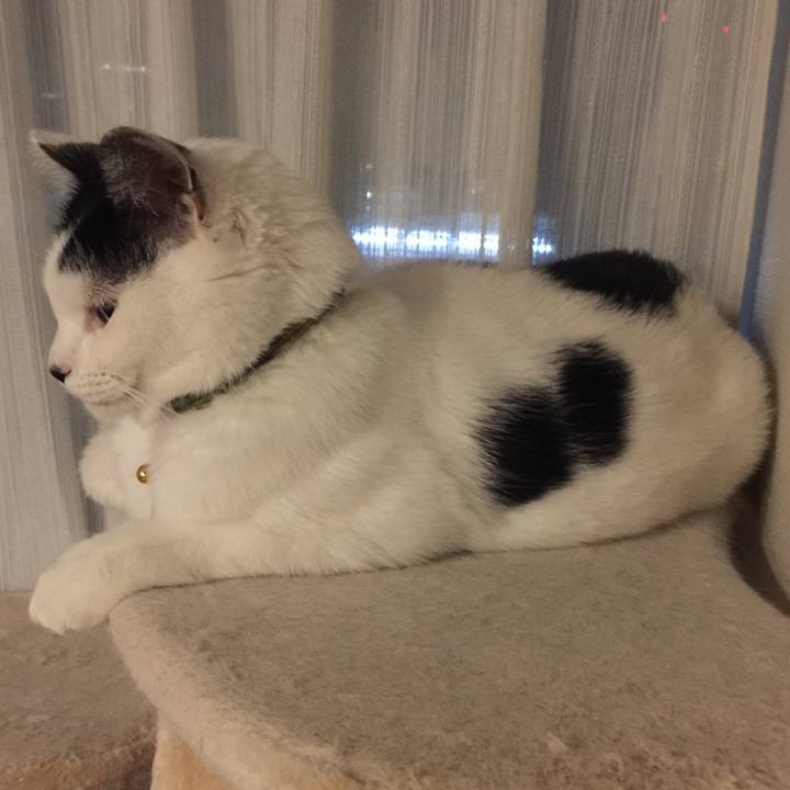 34abc26b d0a8 4def 9275 e031f64b3af8