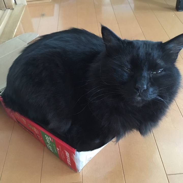 34abdb92 0d93 4a32 a20e a8c6462bdced