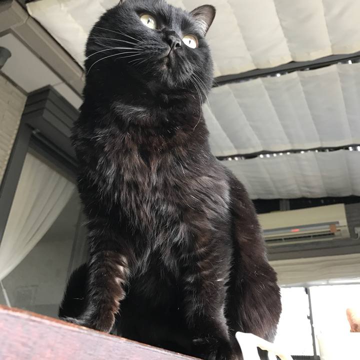 34acd9ce 6c17 494d b837 8238f7c94f77