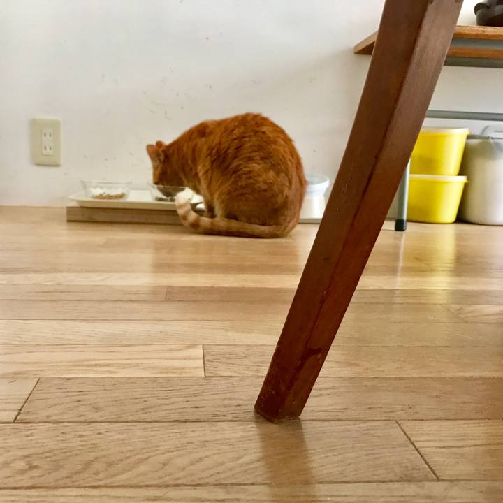 34acf77b 3d33 419f a8bb 45c8f74d0072