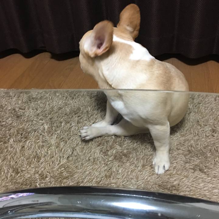 34ad07f8 e4a5 4beb 83f8 beff461193a1