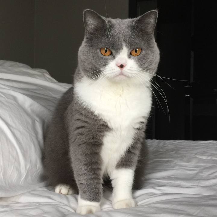 34ad22ac dfe3 49df 89ee 25a72eb41ffe