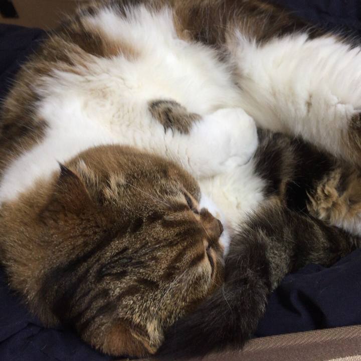 34ada914 b640 43ec a360 c79214c82461