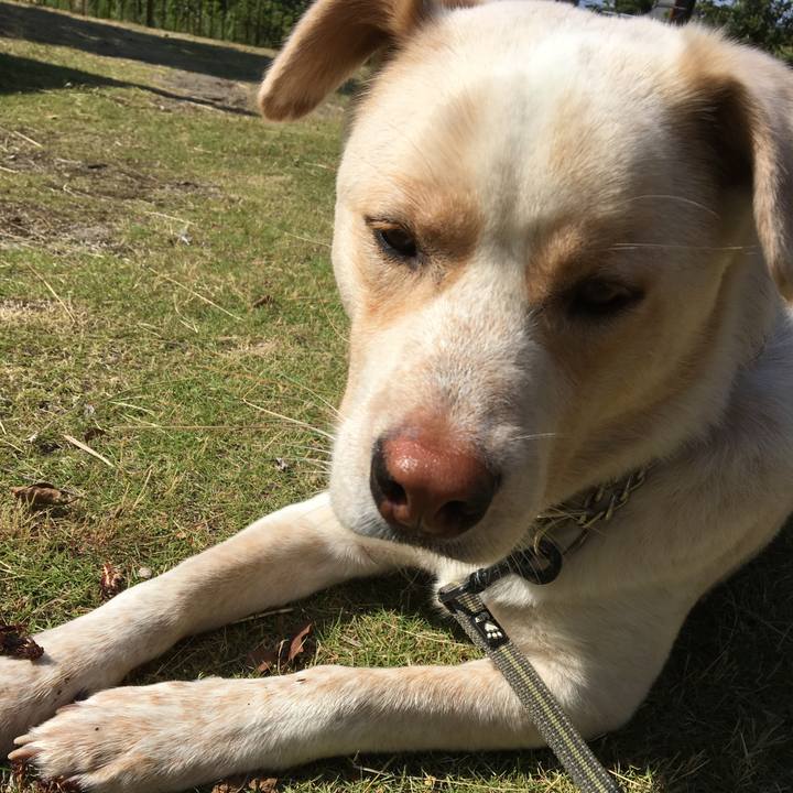 34ae7f04 70fc 4cff a937 950e474cdd44