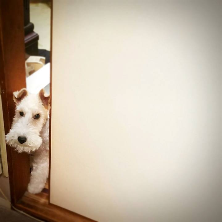 34af48db 8216 4117 9127 2cdc6588e78d