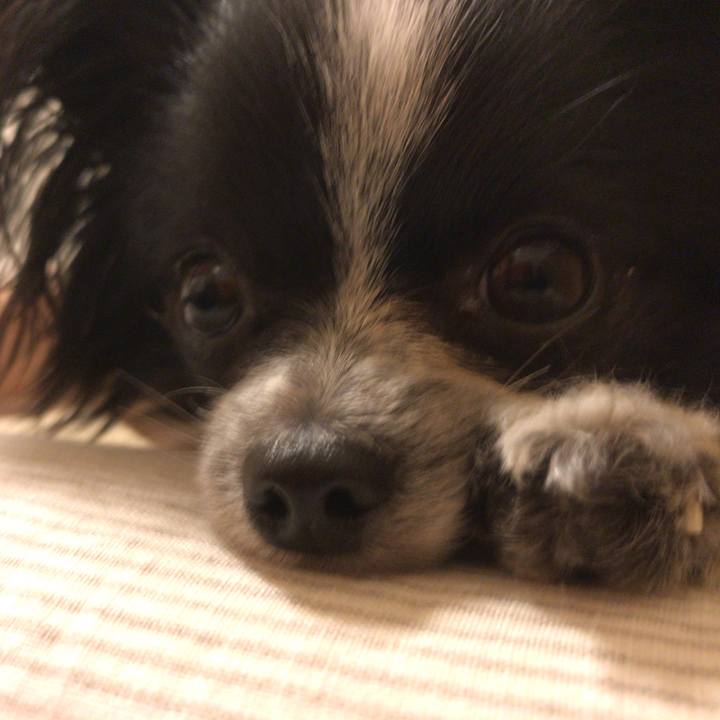 34afbd20 cf1c 4e32 93bb ae45a9b827f3