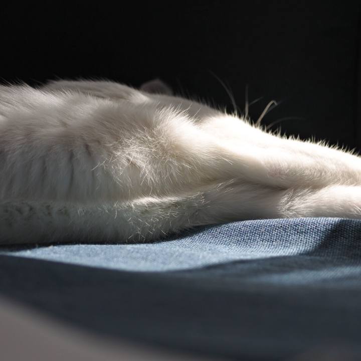 34afbe73 48ea 40f5 9678 6d2ce125748f