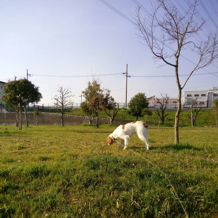 34b19144 6d69 419c b607 6db9c78f6fd9