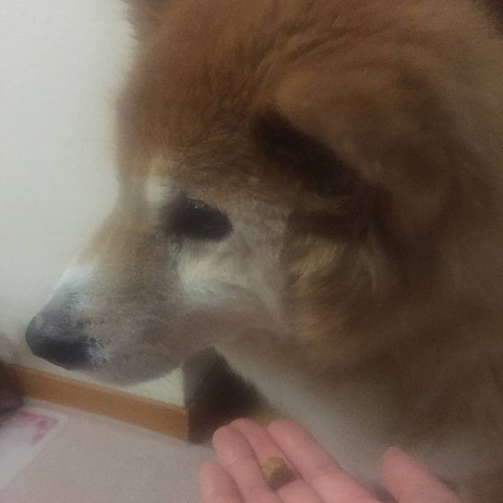 34b1c798 aece 4e46 88b1 8d155e7cfd13