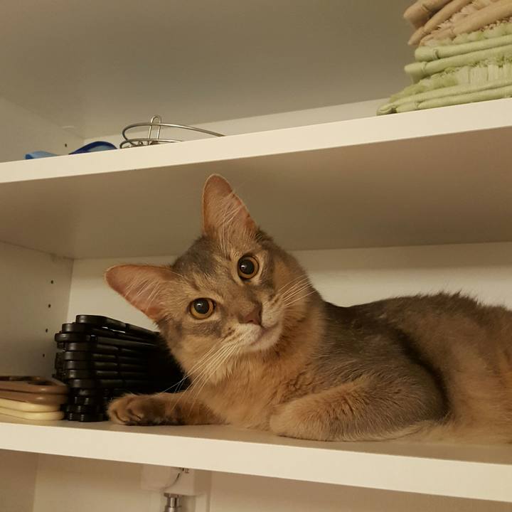 34b27612 8b93 45e1 b6c0 29d6eb098263