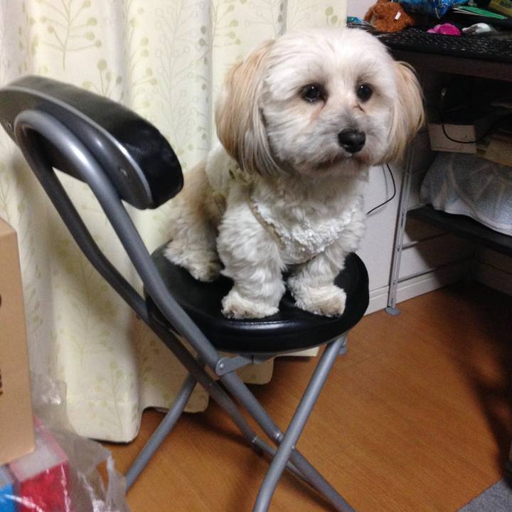 34b2afd8 71ac 48cf 9381 926071766476