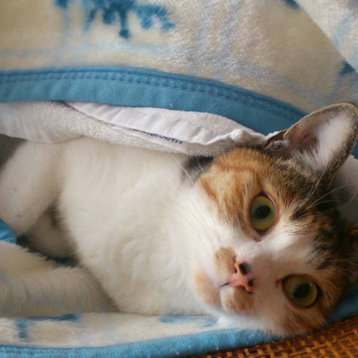 34b2b3d8 4ba5 452d 9b85 d4974942ac2a