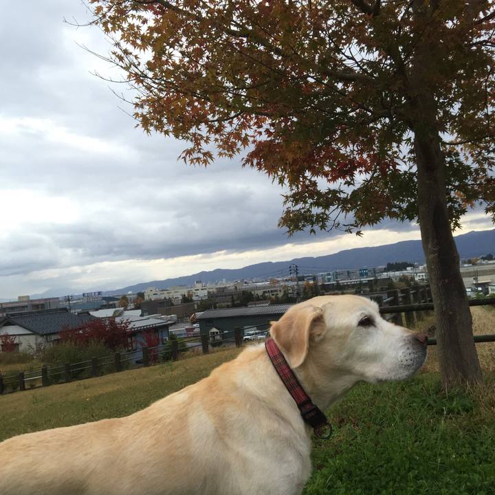 34b2b624 8760 418b 8317 81d01e77d64e