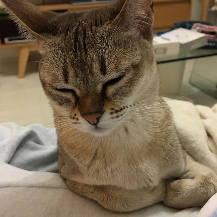 34b30754 99d9 4117 befa df29f53166b9