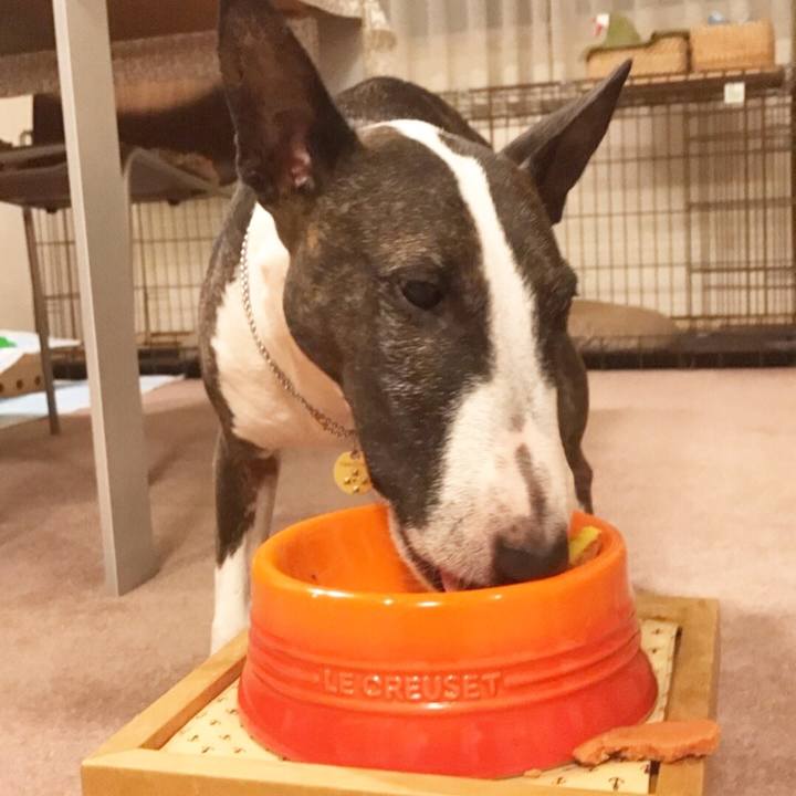 34b35993 630a 46a6 b0b6 e43b16f71bc0