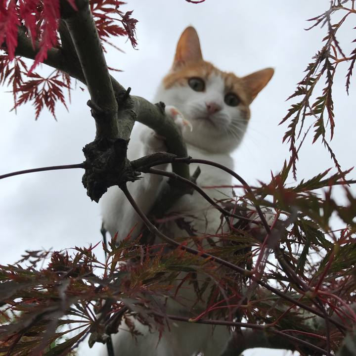 34b38258 51db 4c3b ae38 260f83b045ce