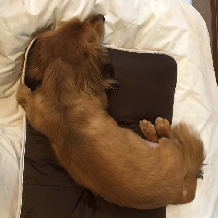 34b39fa4 adf2 4fd7 822f 9bc6cd6317a9