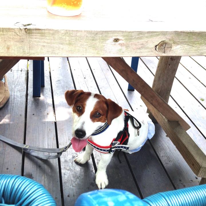 34b3f985 a4e4 4a78 b0b2 8484518f6777