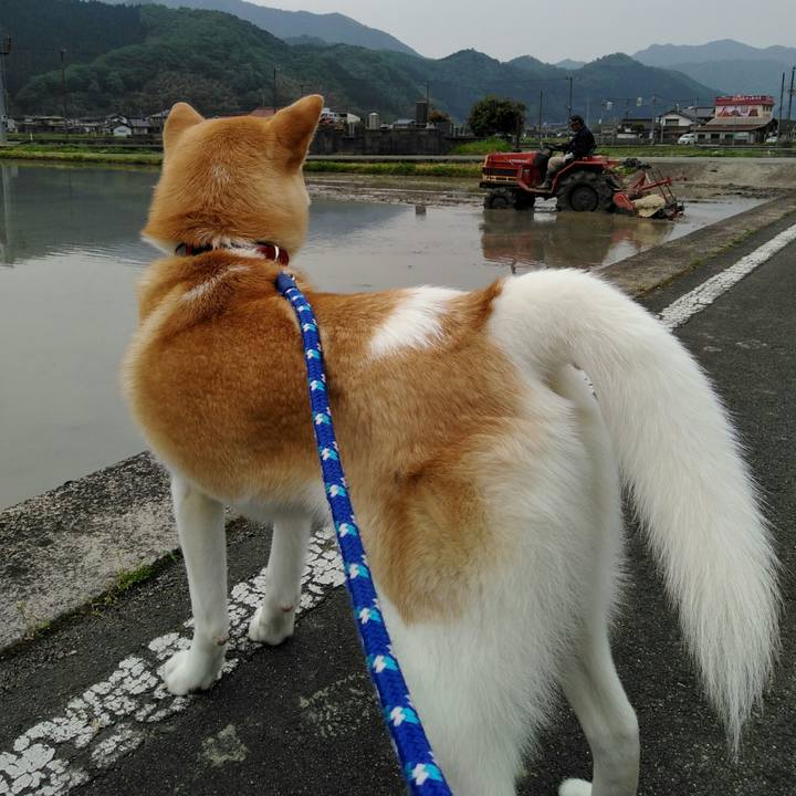 34b4afea ec3d 4bb3 839c 8d0582885ef7