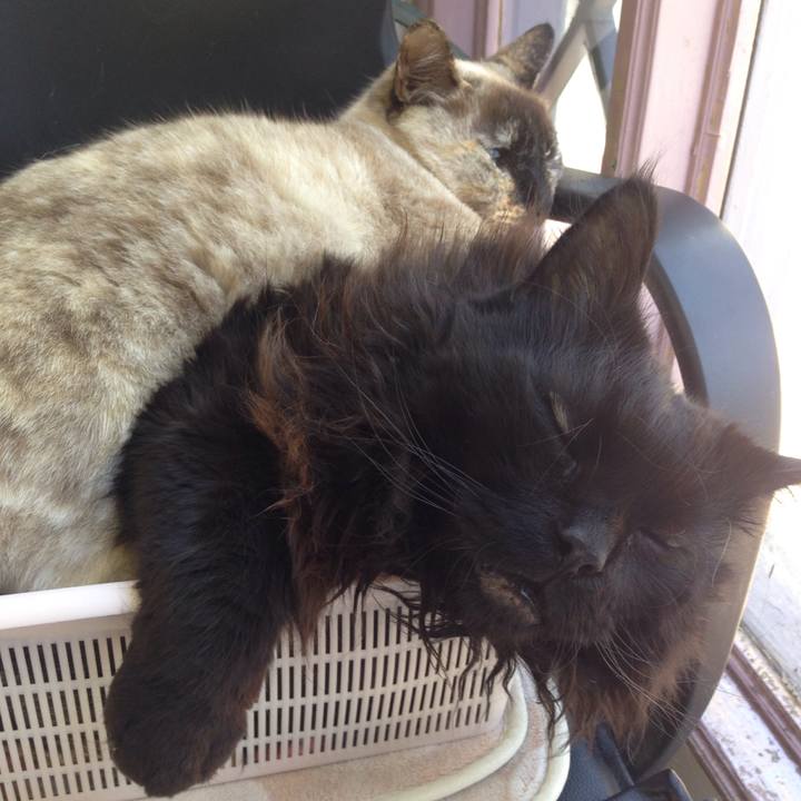 34b51efd d8f0 4c04 a205 b1dd65514bdb