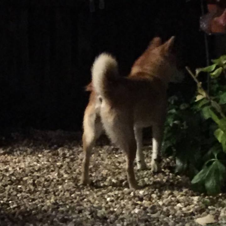 34b5ce7c d7a7 4a91 b48a 343eb7c87acd