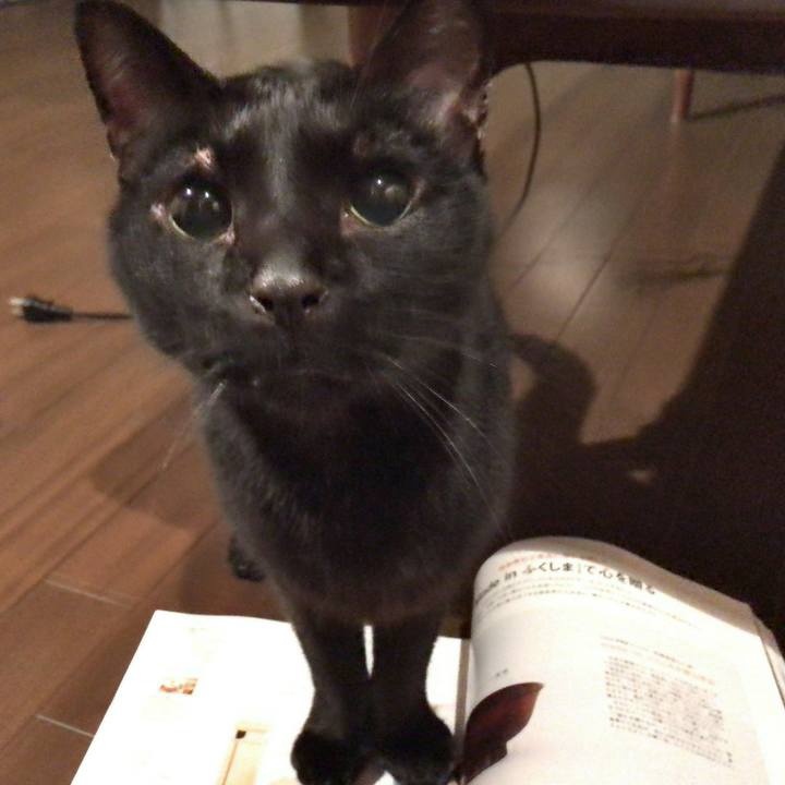 34b72b31 e114 43a9 8d06 c91ea89a446a