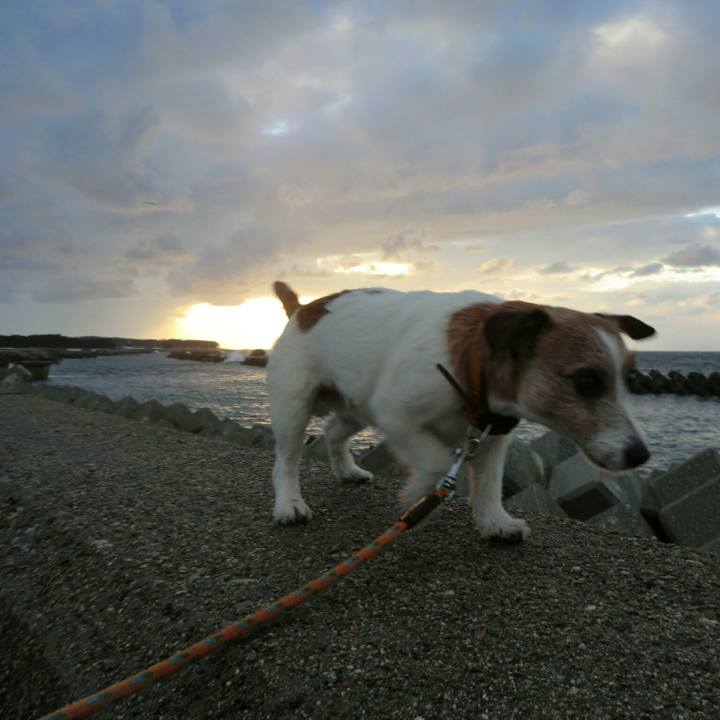 34b75b67 f974 4727 bc33 97bb6cc1d090