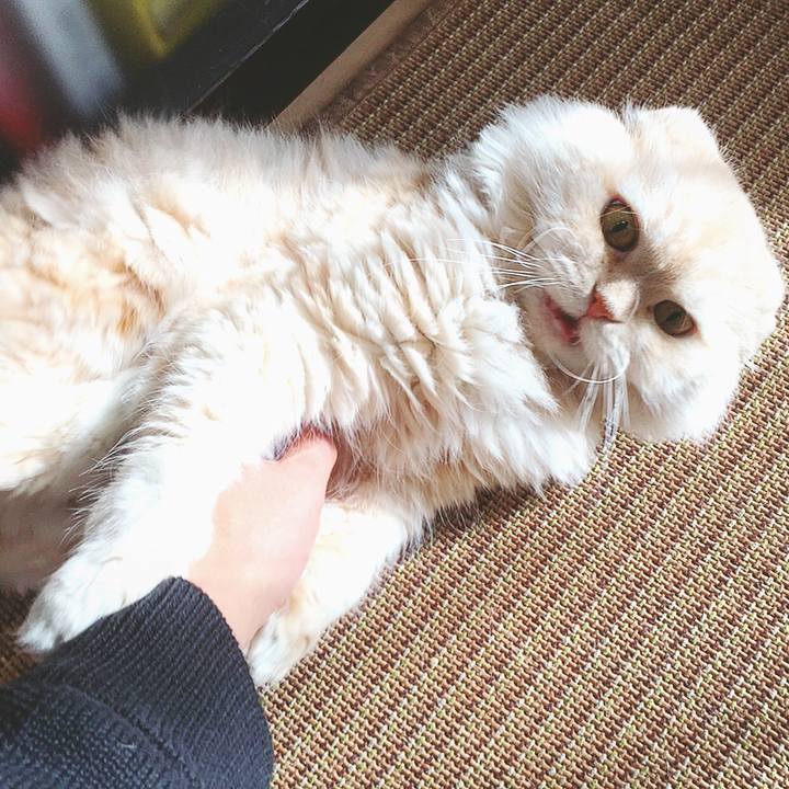 34b7b7f5 c3ab 4b77 a085 31d5488f526a