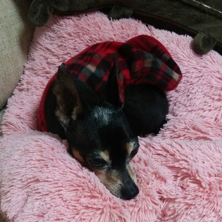 34b7cbdd 99fc 4b15 807b 8314c305a139