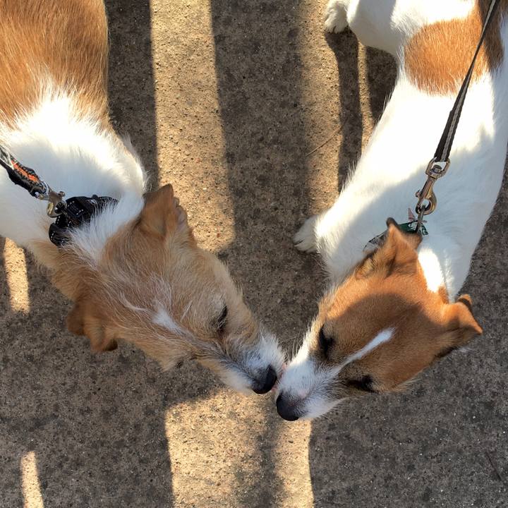 34b862b2 0849 4944 b565 4f32e0577bd0