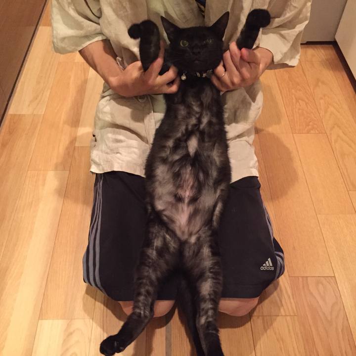 34b92e3d 17fd 4c5f bb2a 87100cef9a8a